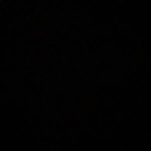 Meet your Posher, Noelani